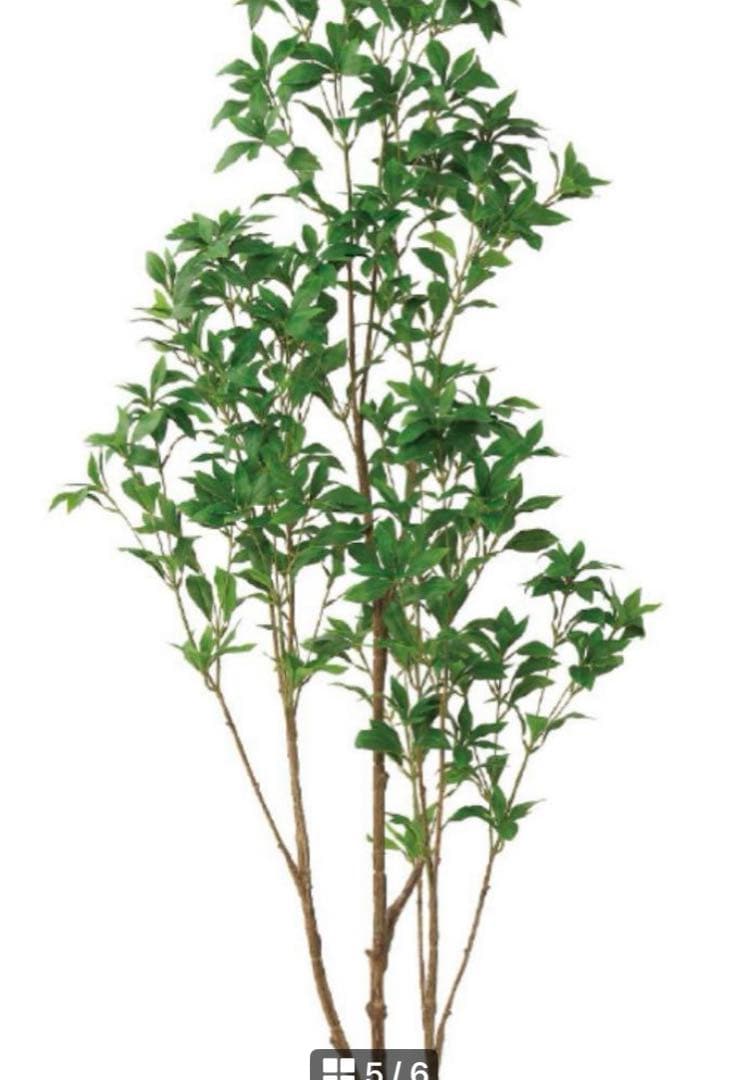 光触媒　人工観葉植物　ウォールグリーン　フェイクグリーン　アセビ175@