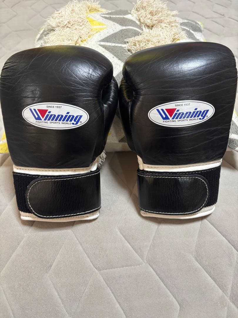 Winning ボクシンググローブ 8オンスオーダーカラーMizunoバッグ付き