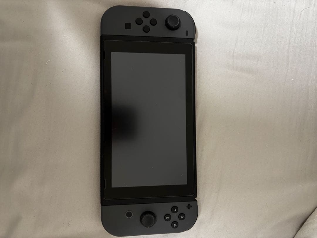 Nintendo Switch 本体＋純正プロコン＋ケース ニンテンドースイッチ