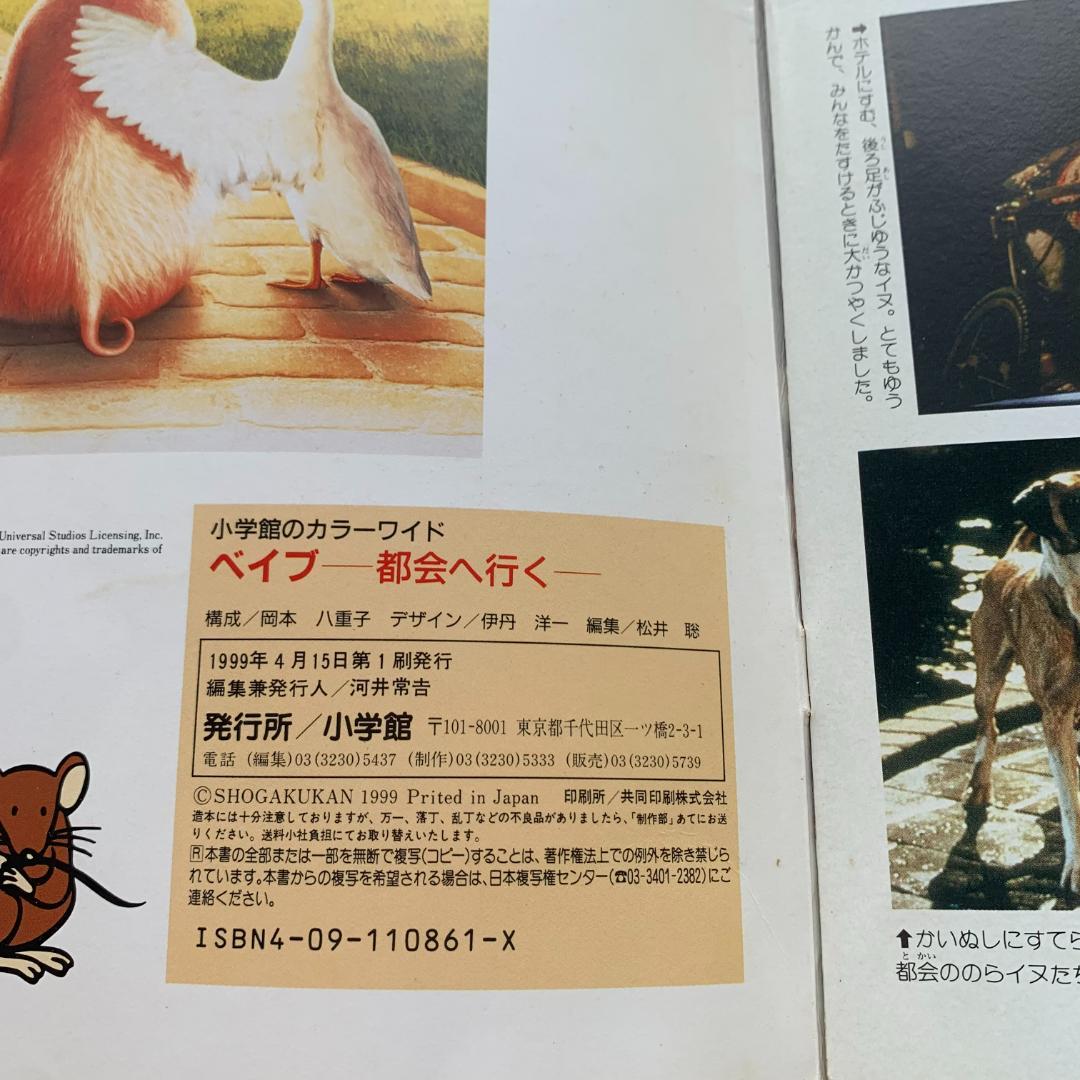 ベイブー都会へ行く：希少本
