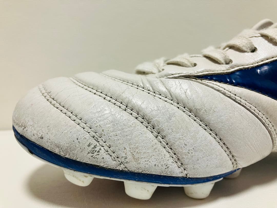 【値下げ】限定カラー　モレリアII Japan 26.5cm