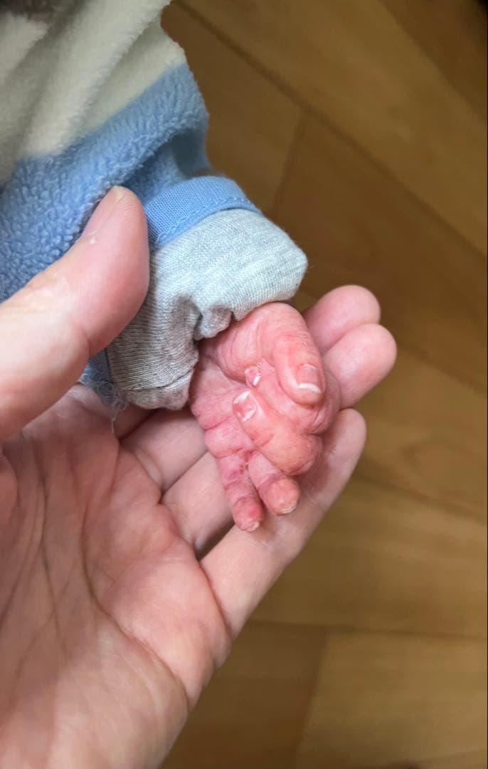 証明書あり リボーンドール 正規品 ジャック