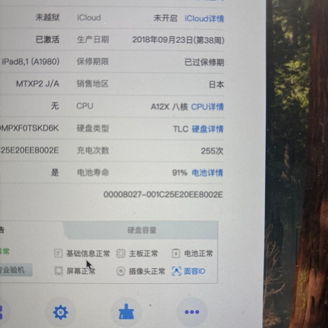 iPad Pro 11インチ 第一世代 64GB WIFI
