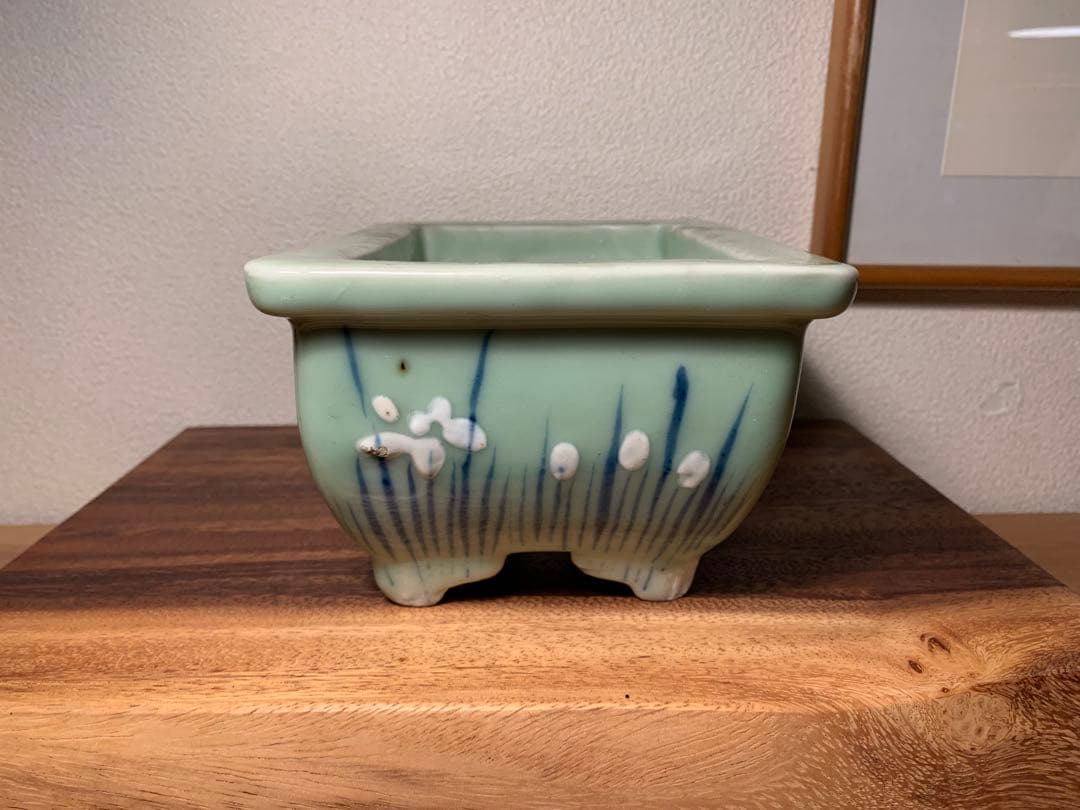 青磁長方鉢 時代鉢 盆栽 鉢植え 青磁 染付 水仙 和鉢
