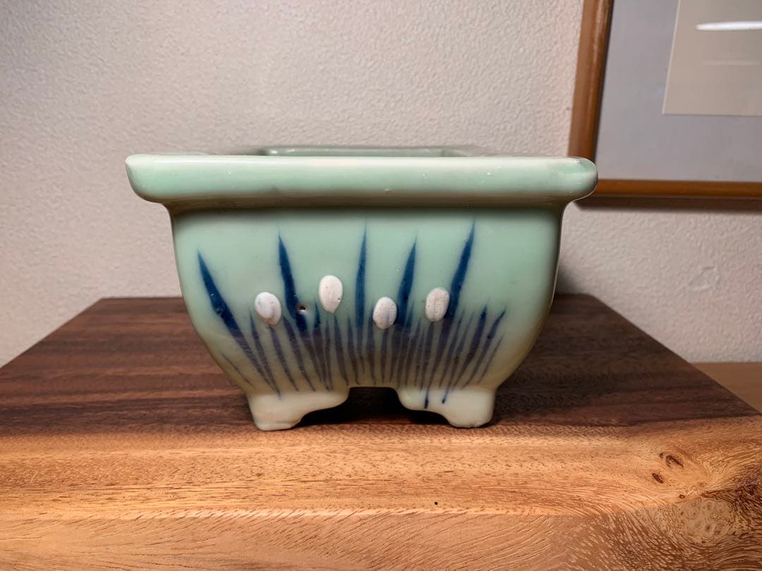 青磁長方鉢 時代鉢 盆栽 鉢植え 青磁 染付 水仙 和鉢