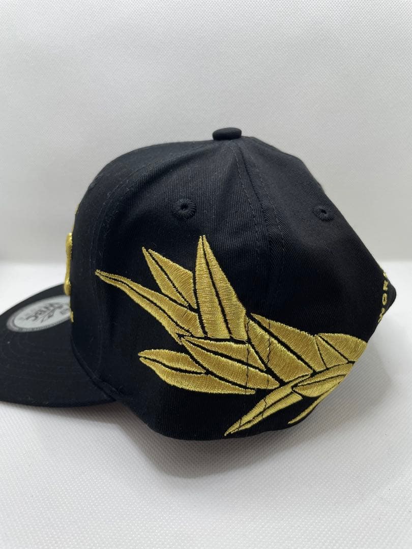 ボクシング wbcチャンピオンキャップ