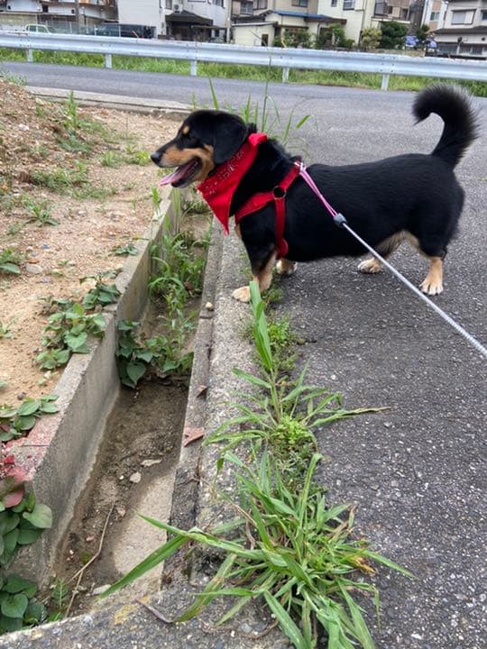 ☆レオ君☆