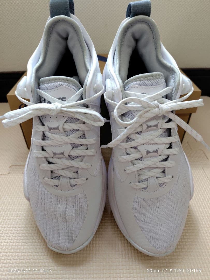 アシックス ノヴァサージロー2 25.0美品 NOVA SURGE Low2