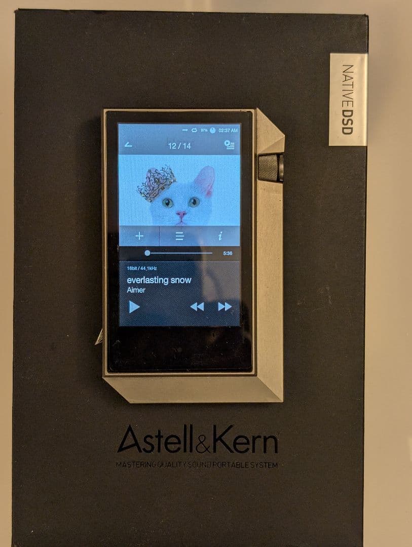 ジャンク品　Astell&Kern デジタルオーディオプレーヤー AK240