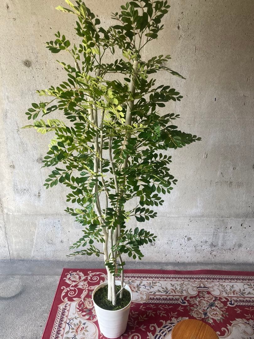 光触媒　人工観葉植物　ウォールグリーン　フェイクグリーン　トネリコ17075aj