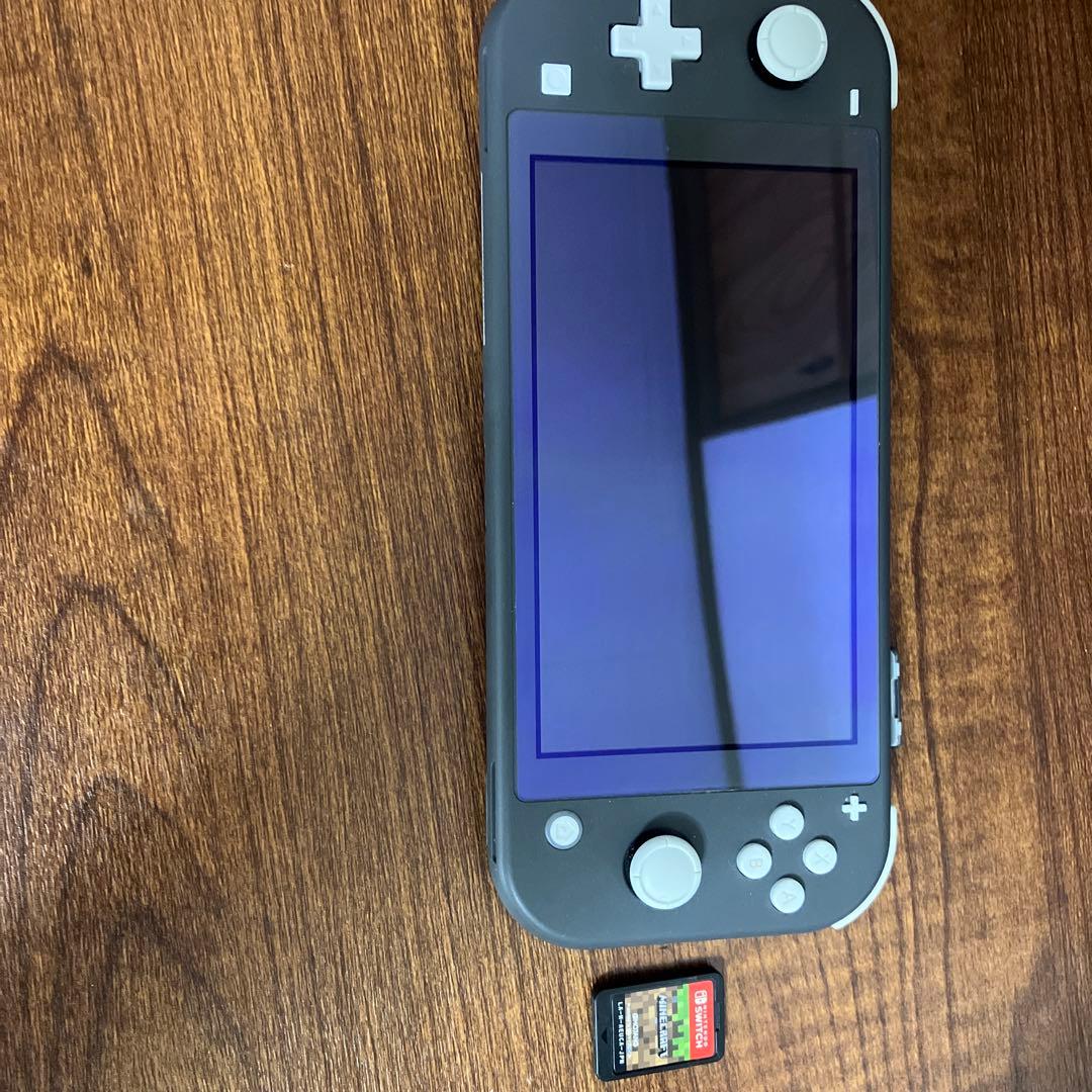 Nintendo Switch Lite 本体 充電器Minecraftソフト付