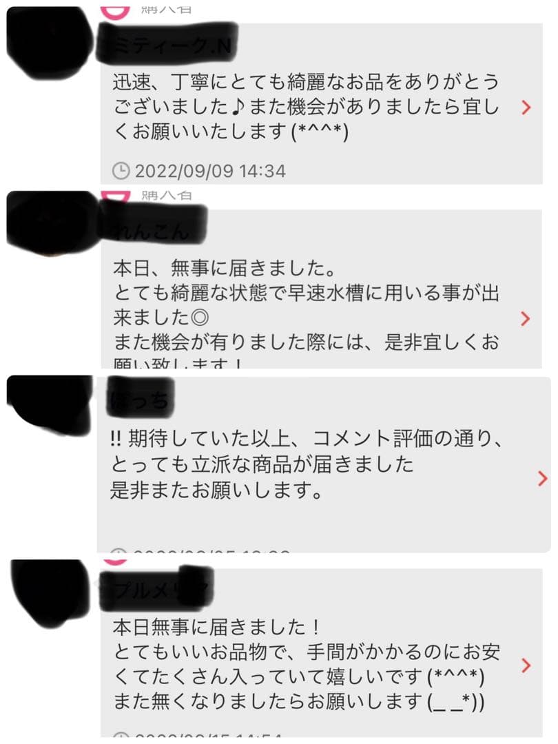 沖縄県やんばる産マジックリーフ 1kg UV殺菌灯照射済み①