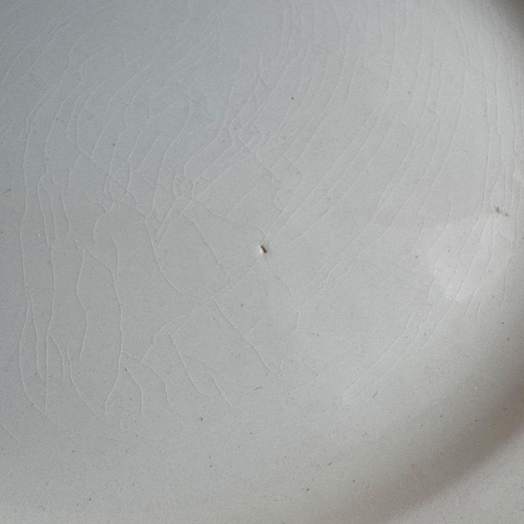 フランスアンティーク　サルグミンヌ　オクトゴナル　ディナープレート