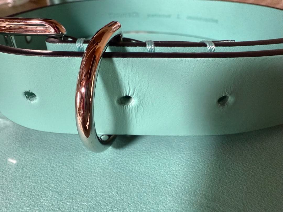Tiffany & Co. ティファニーブルー レザー首輪