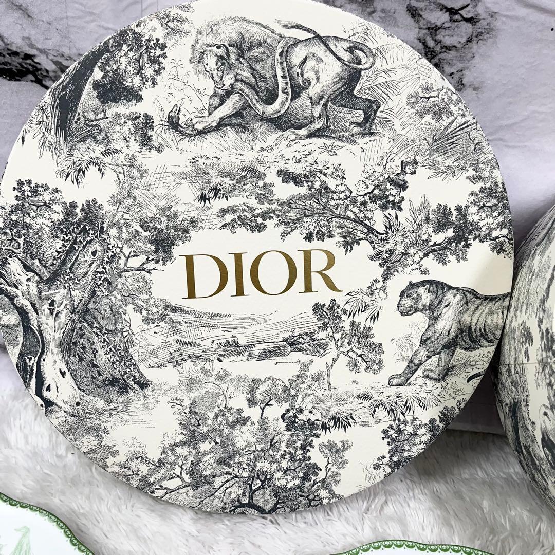 Dior リリーオブザヴァレー 27cm 6枚セット　バラ売り可能！