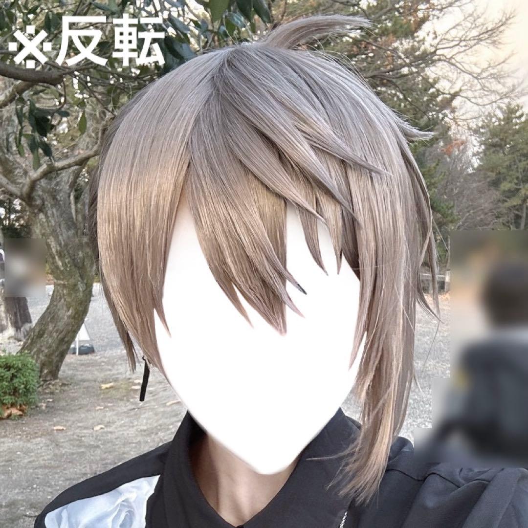 にじさんじ￤叶￤ウィッグ