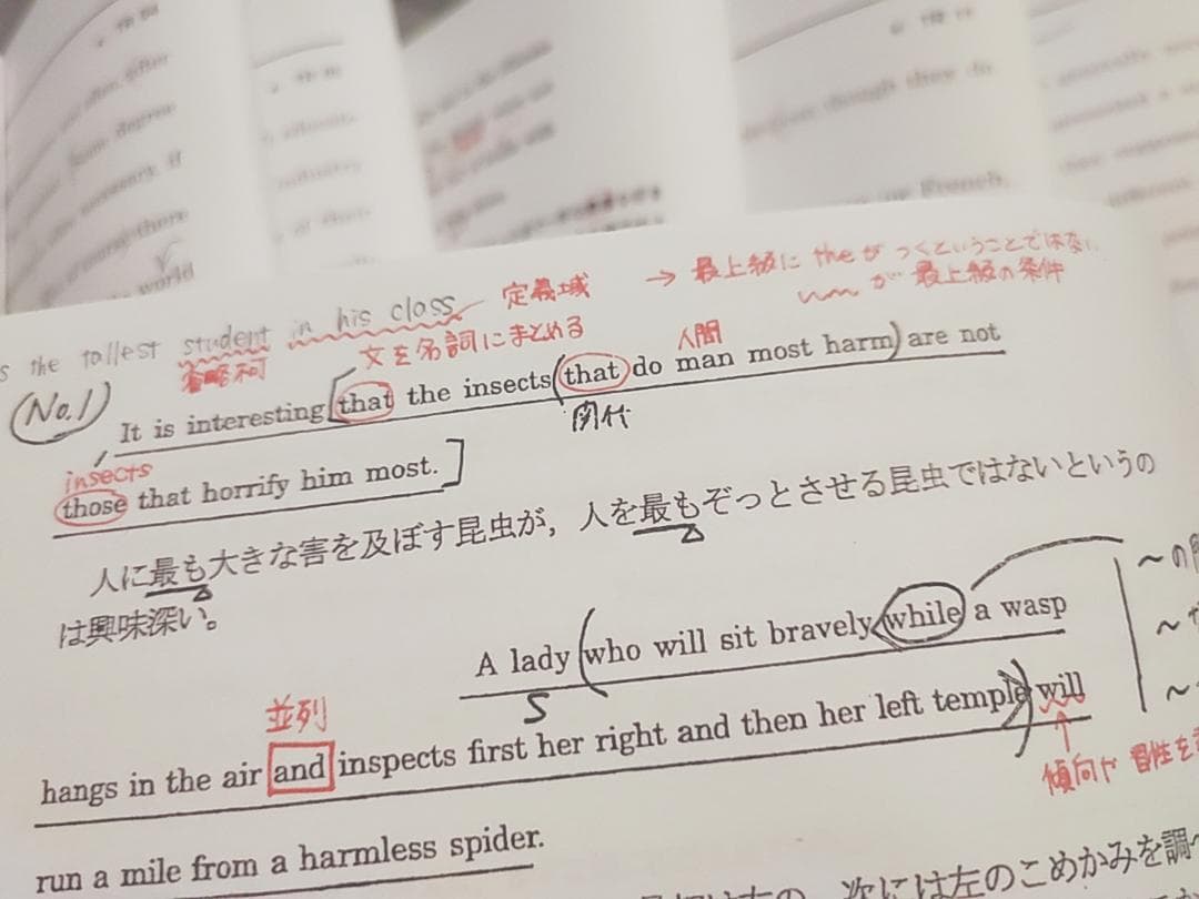 駿台　英語構文S　プリントフルセット　竹岡広信先生　鉄緑会　河合塾　東進　SEG