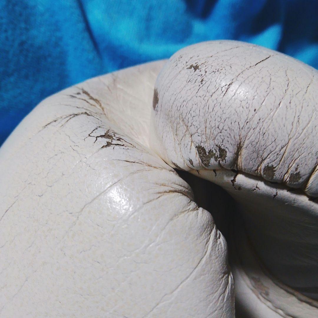 Winning ボクシンググローブ ホワイト 8oz