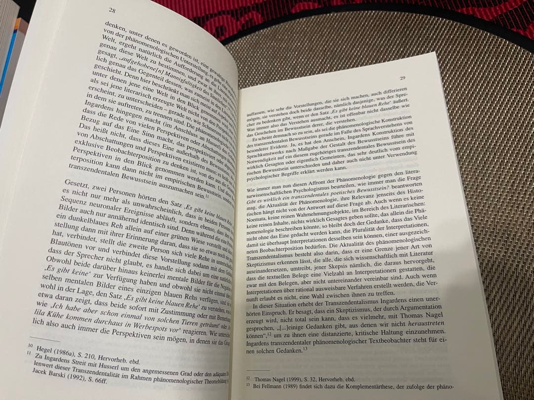 洋書 Literaturtheorie und Pragmatismus