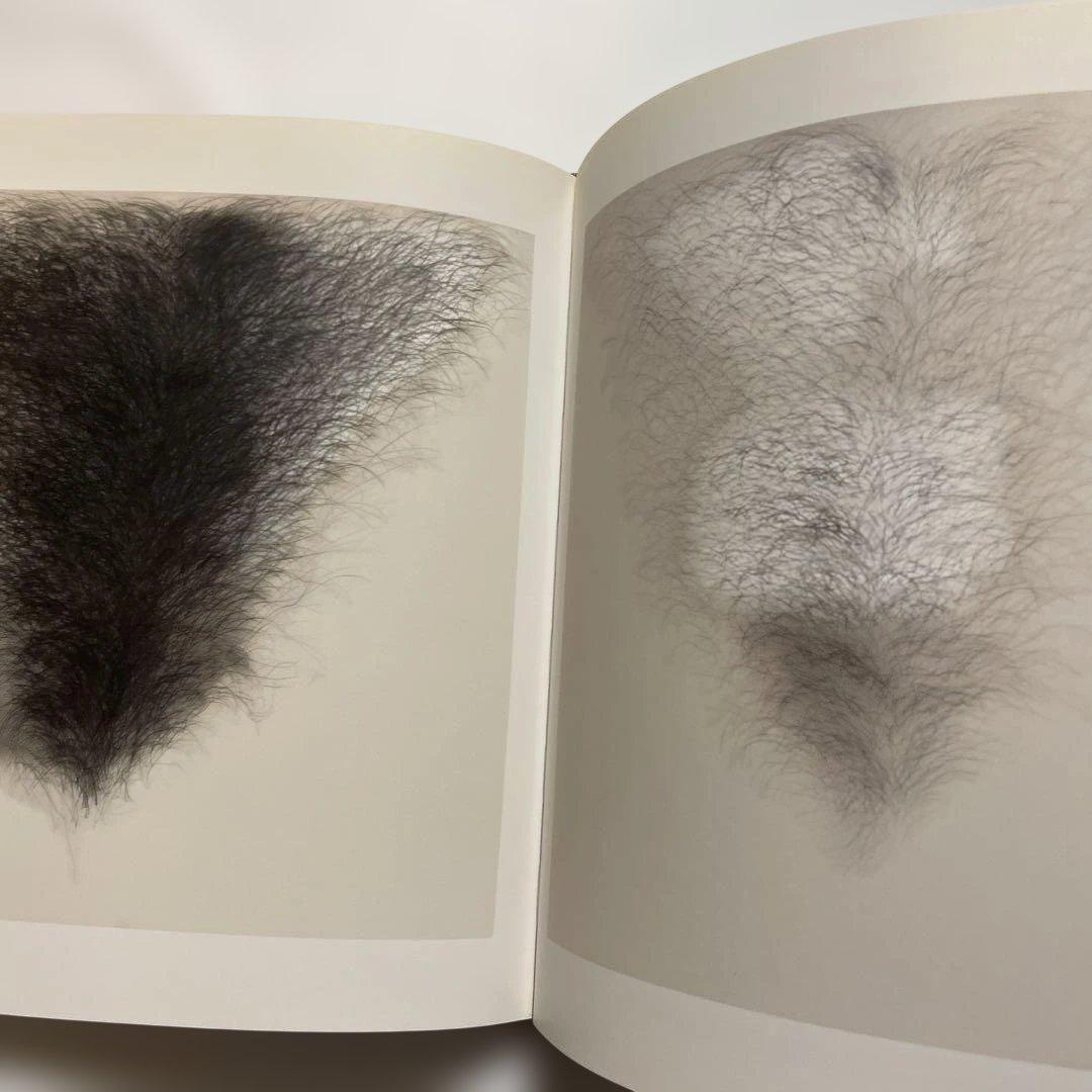 Jim Dine, some drawings　ジム・ダイン画集　洋書