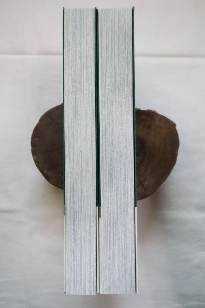 からくりサーカス 完全版 25,26巻 2冊セット 藤田和日郎著