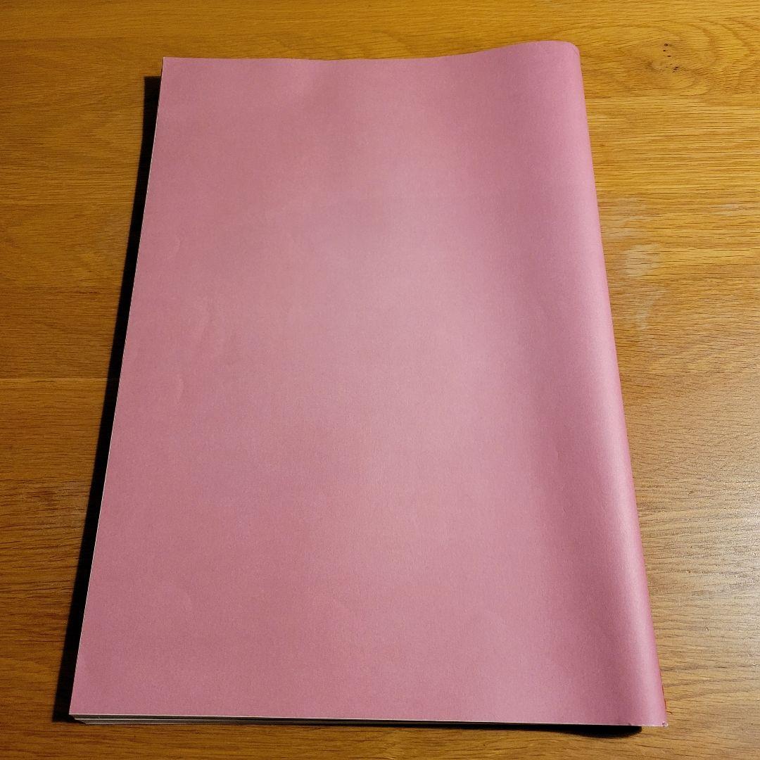 希少 Subsequence Magazine Vol.1.2 visvim