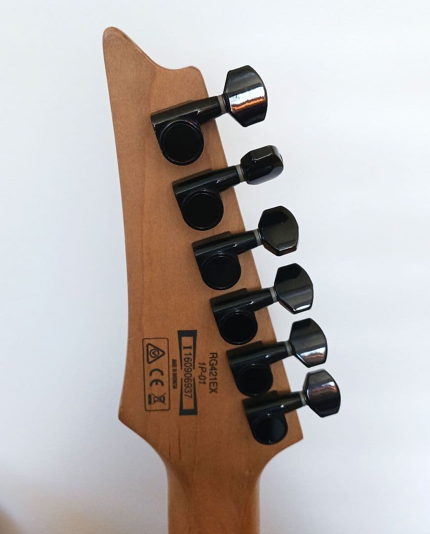 Ibanez エレキギター RG421EX