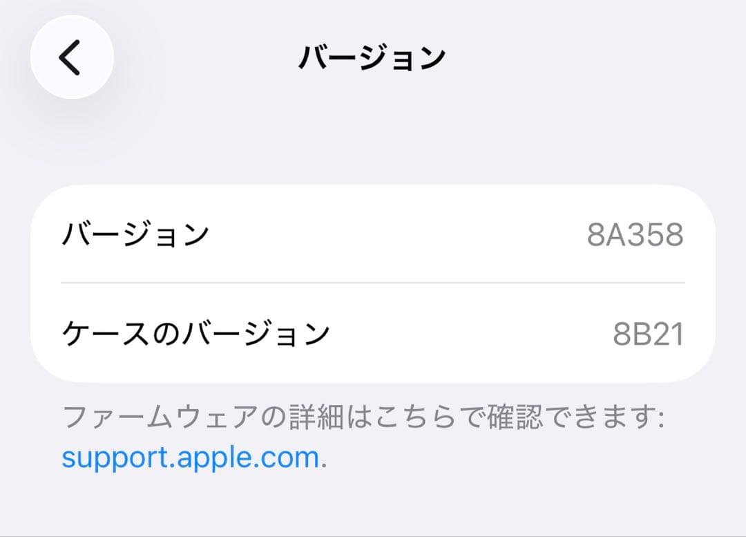 イヤホン AirPods Pro 2 (type-c)
