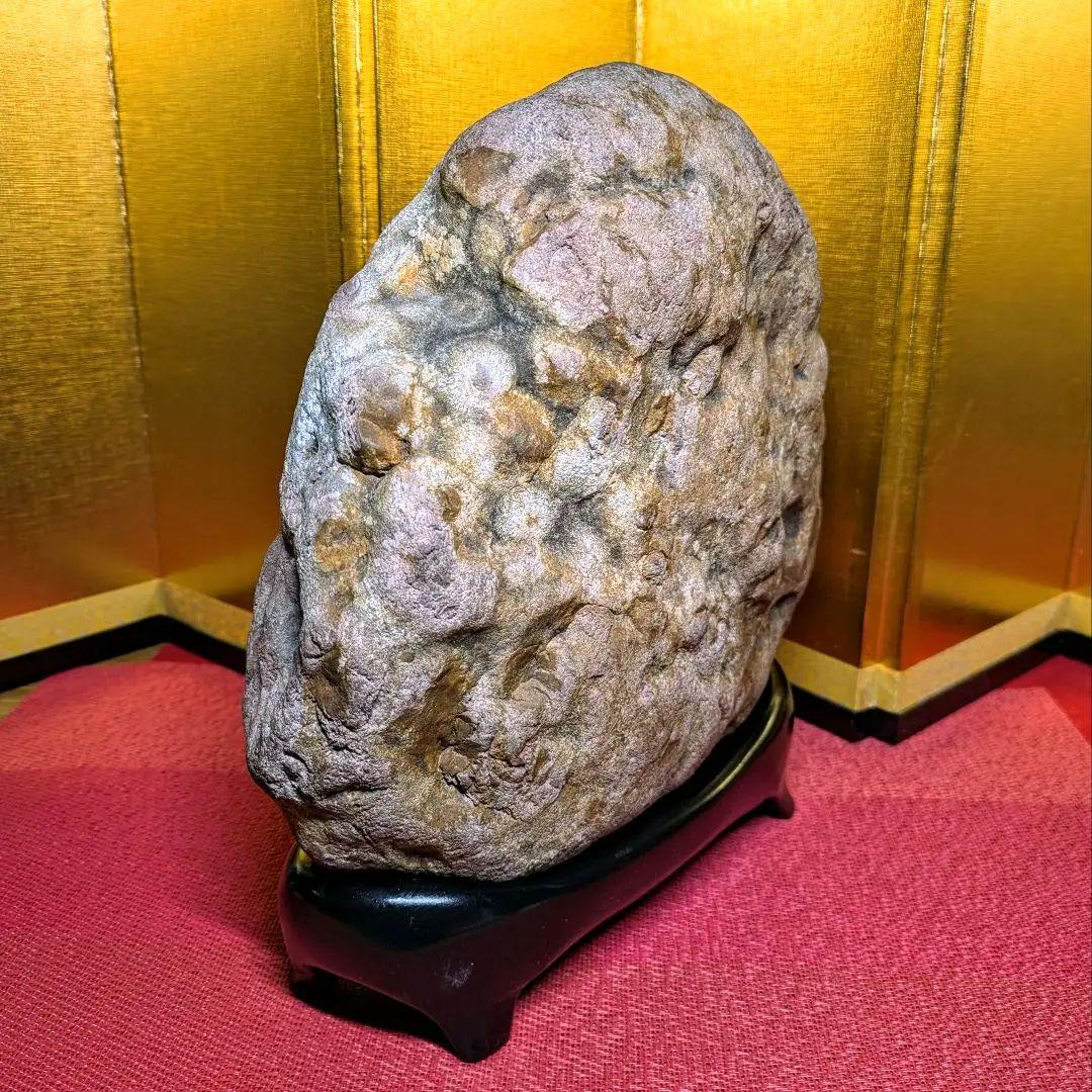 白山菊紋石 7㌔ 希少川ずれ 鑑賞石 観賞石 水石 盆石 天然石 置物 菊花石