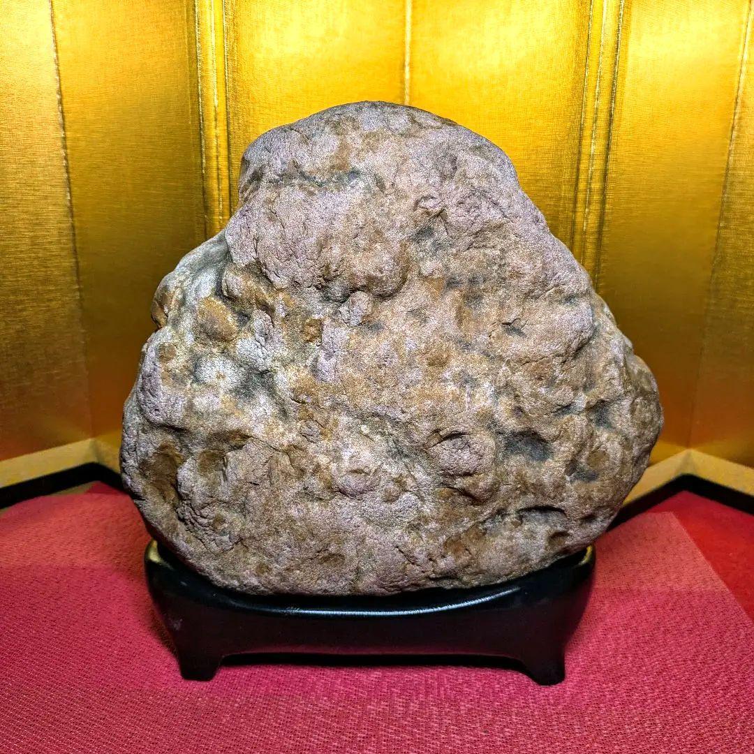 白山菊紋石 7㌔ 希少川ずれ 鑑賞石 観賞石 水石 盆石 天然石 置物 菊花石