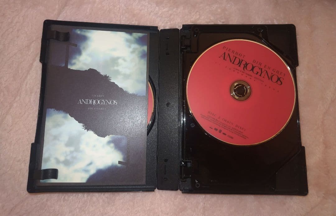 ARCHE！廃盤【ANDROGYNOS豪華版DVD】