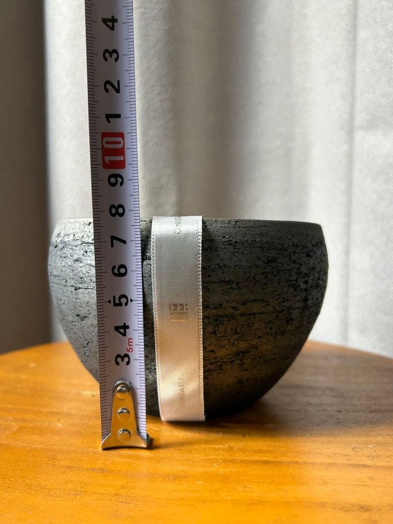 限定モデル三州みやび鉢 ピグマエア パキプスInvisible 鶴仙園KOMO