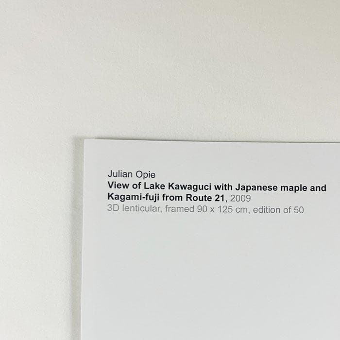 限定マット額装品/View of Kawaguci/ジュリアン・オピー