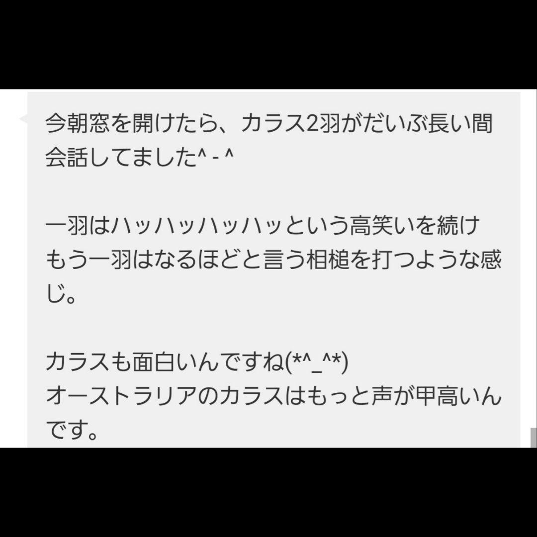 【ご予約品】ファウスト博士の精霊召喚魔術書 〜全てを成し遂げることができた図形版