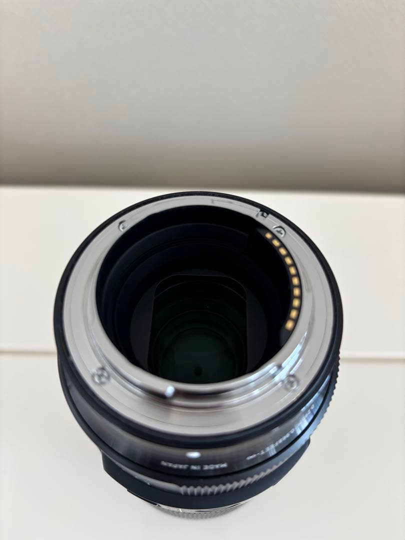 SIGMA 105mm F2.8 DG DN MACRO　Eマウント