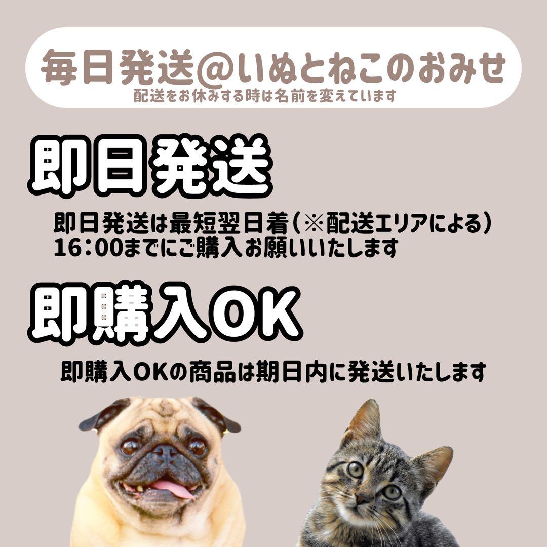 【15kg】セレクトバランス アダルトラム ドッグフード