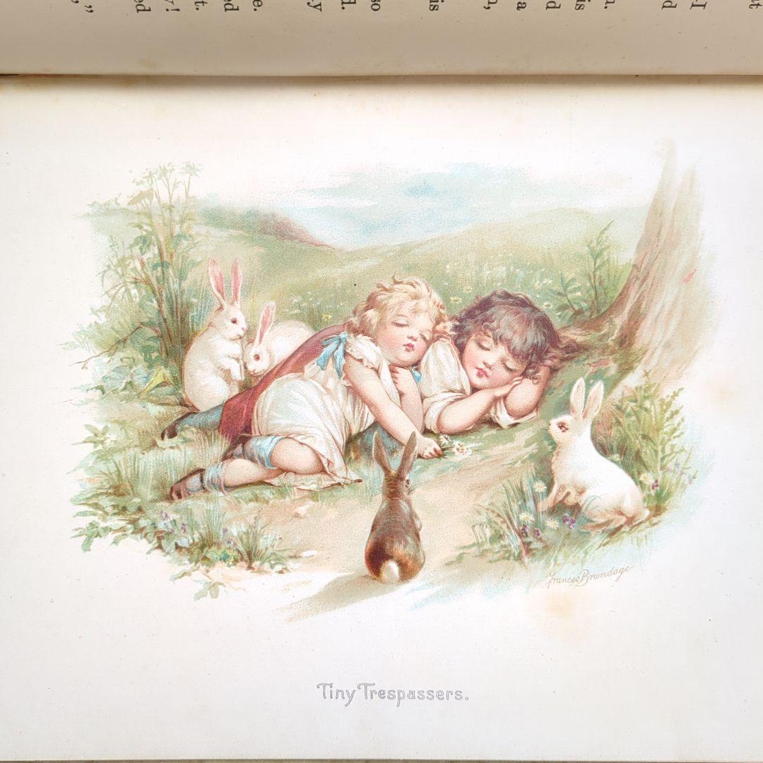 超稀少1896アンティーク絵本 洋書 古書 児童書 ヴィクトリアン ヴンテージ