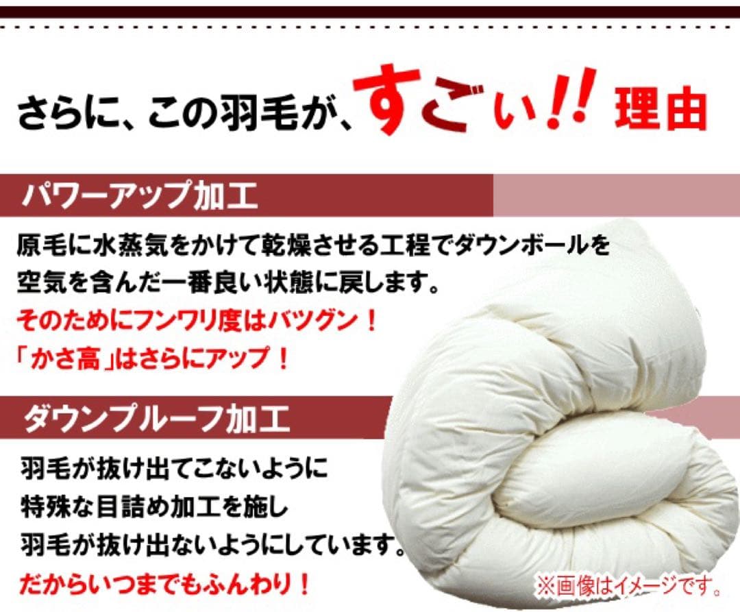 羽毛布団 シングル ホワイトマザーダック 超長綿 二層 SK6492ブルー