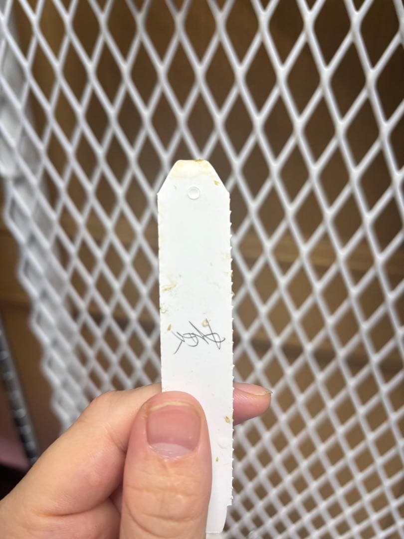 たろうさまやり取り用