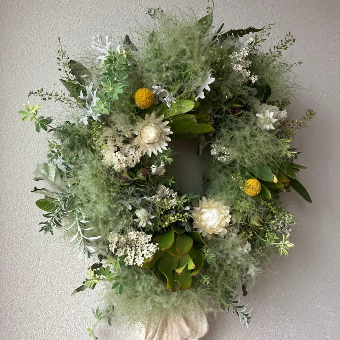 スモークツリー とリューカデンドロンのグリーンオーバルリース　クラスペディア