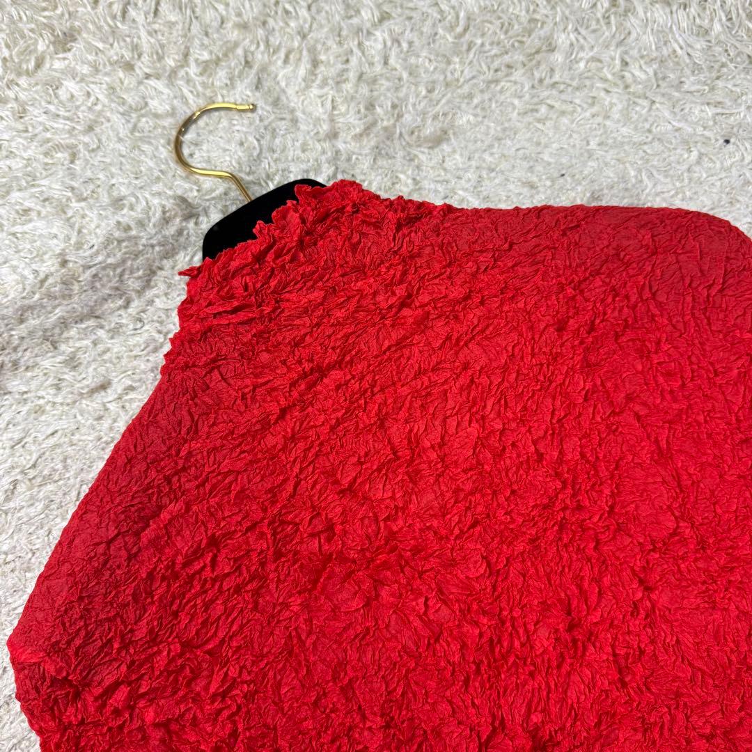 希少★ISSEY MIYAKE シワ加工 箔 カットソー 長袖 レッド