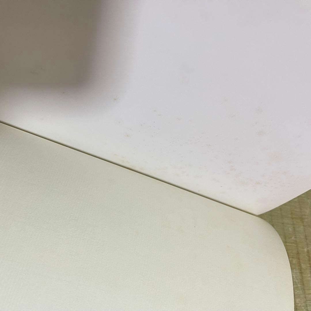 【絶版本】「Tillandsia」PAUL T.ISLEY Ⅲ チランジア