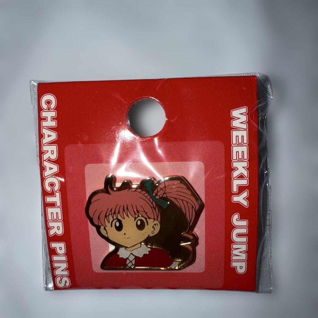 WEEKLY JUMP キャラクターピンズHUNTER×HUNTER14点セット