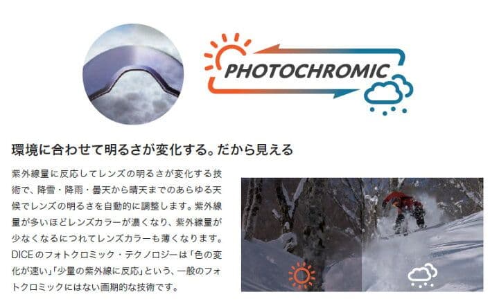 新品【24-25】DICE ゴーグル ショーダウン　SHOWDOWN　ダイス