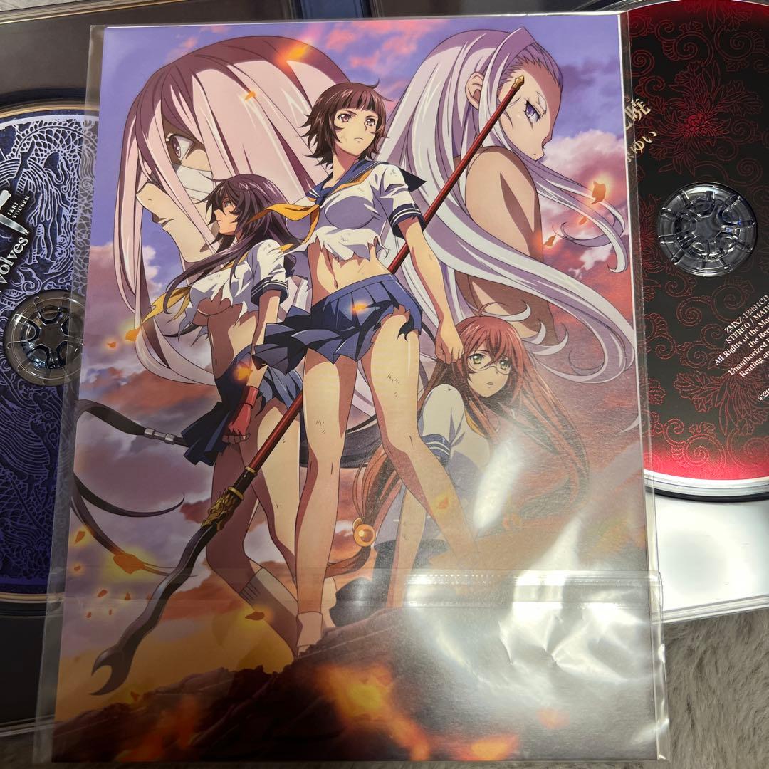 t*o様 一騎当千 Western Wolves 初回生産版