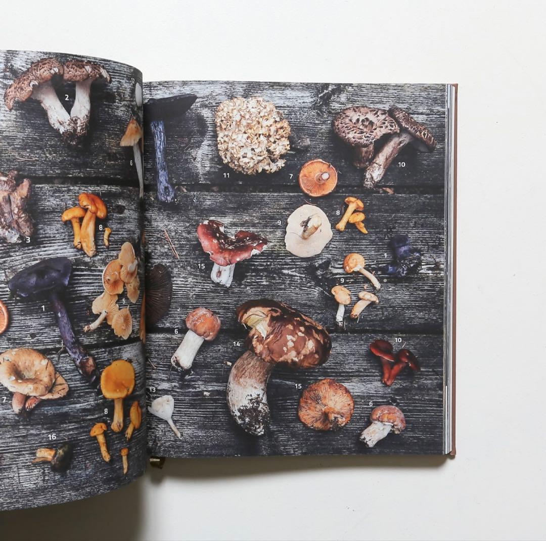 洋書 Cook the Mountain - Norbert Niederkofler