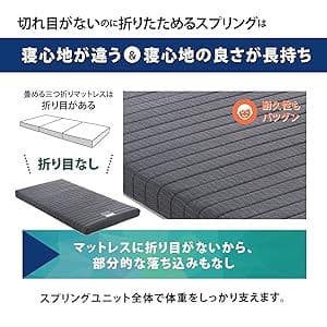 フランスベッド マットレス シングル FD-W01‐MC