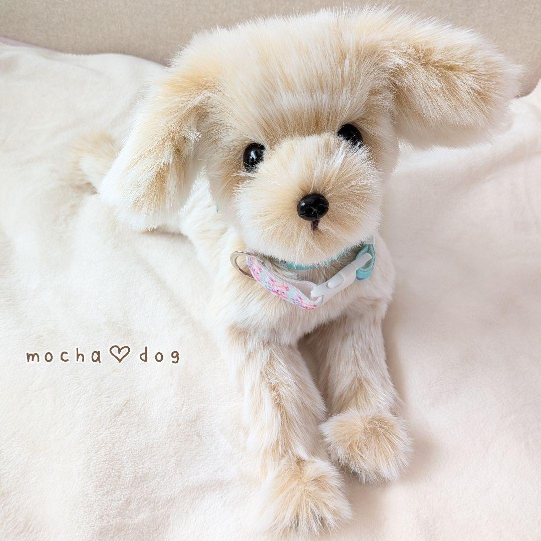＊mocha♡dog＊ mixdog(M)☆ぬいぐるみわんこ 犬　 ハンドメイド