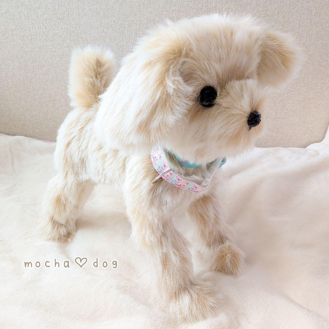 ＊mocha♡dog＊ mixdog(M)☆ぬいぐるみわんこ 犬　 ハンドメイド