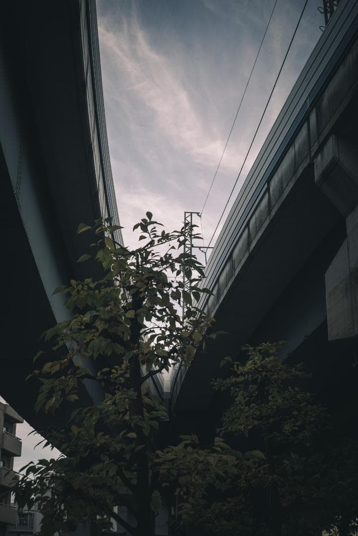 良品！希少トリウムズミクロン最後期！Summicron 50mm F2